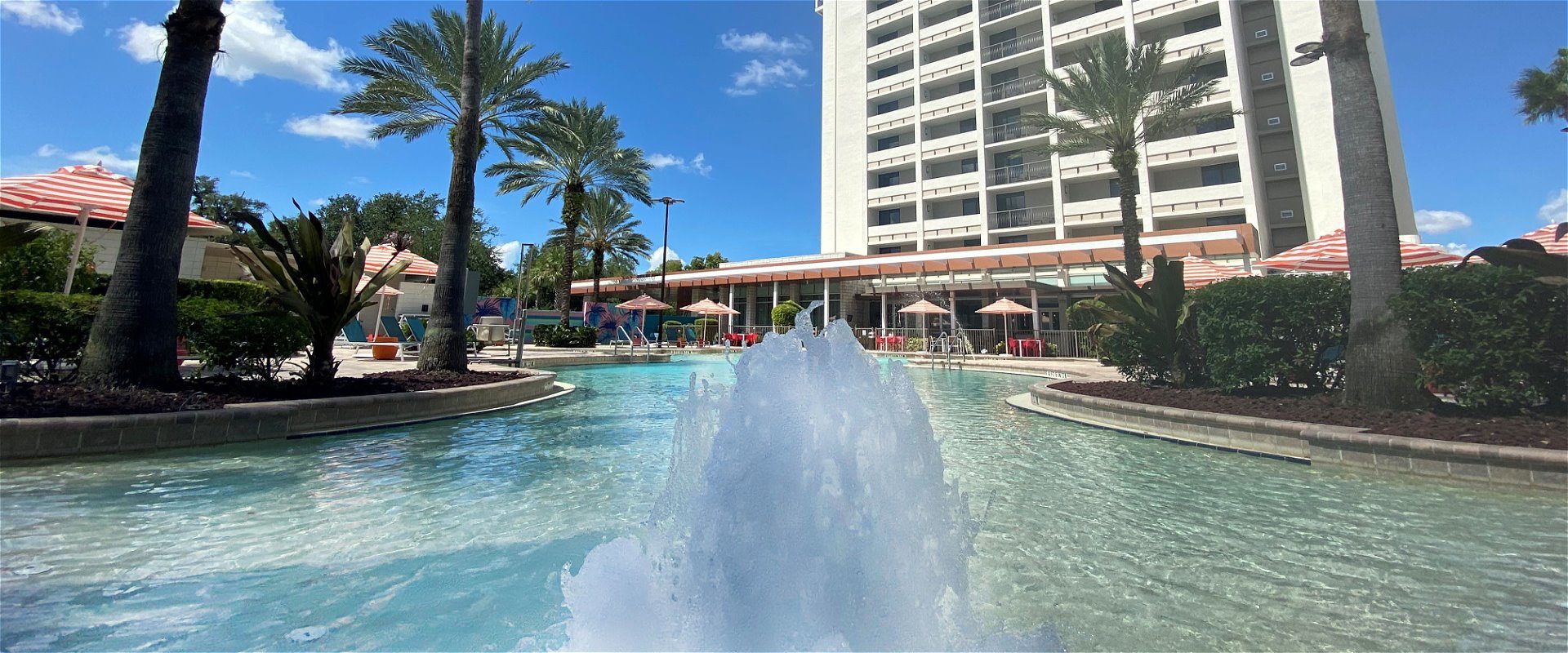 disney springs web cam